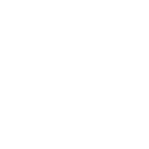 Ensures Legal Compliance